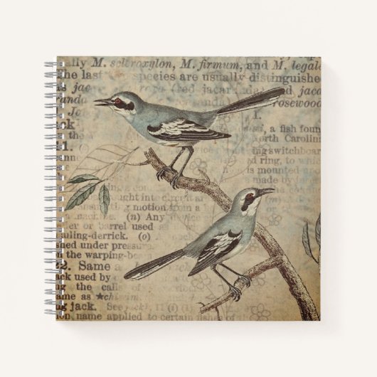 Carnet Noteboo du dictionnaire d'oiseaux Turquoises Vinta (Devant)