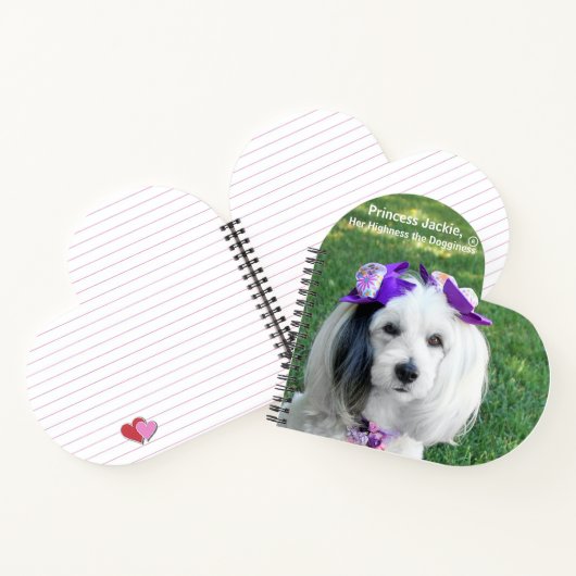 Carnet Notebook (Intérieur)