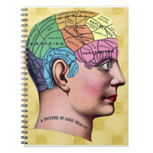 Carnet Notebook de Phrogy