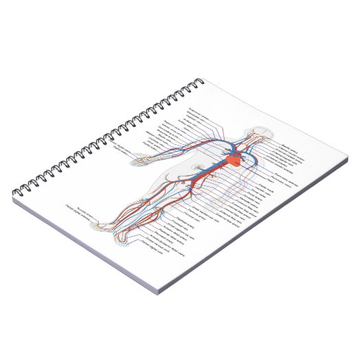 Carnet Notebook humain Anatomy & Circulation (Côté gauche)