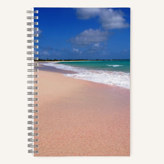Carnet Notebook spirale de 5,5 po x 8,5 po (Recto)