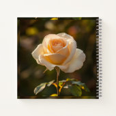 Carnet Notebooks & Journals (Dos)