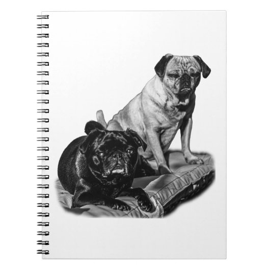 Carnet Notes avec des teckels charmants ombrés (Devant)