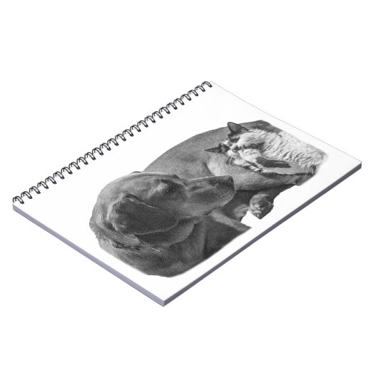 Carnet Notes avec un duo cosy (Côté gauche)