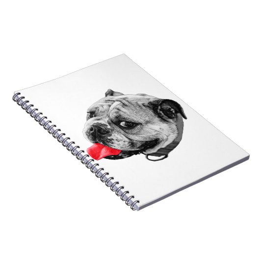 Carnet Notes d'accent joyeuses (Côté Droit)