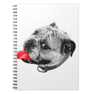 Carnet Notes d'accent joyeuses
