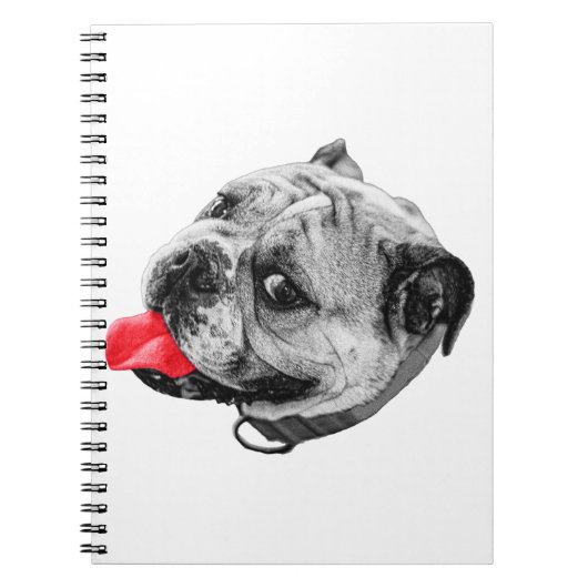 Carnet Notes d'accent joyeuses (Devant)