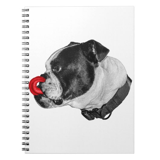 Carnet Notes d'accent rouge Bulldog (Devant)