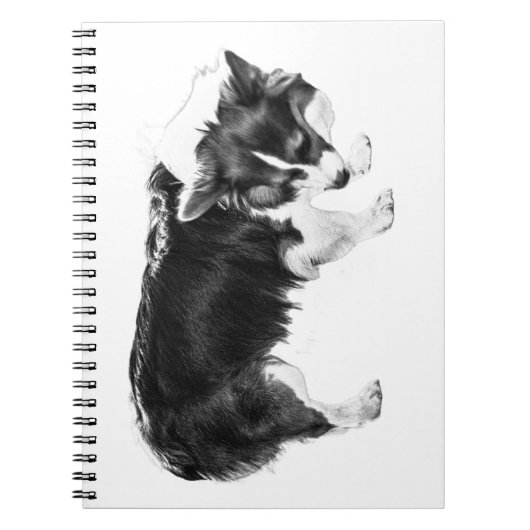 Carnet Notes de champ : Nez d'automne (Devant)