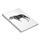 Carnet Notes de piste, Coeur stable (Côté Droit)