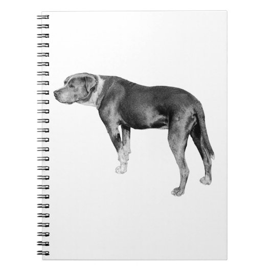 Carnet Notes de piste, Coeur stable (Devant)