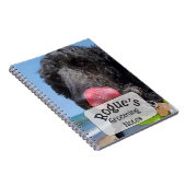 Carnet Notes de toilettage de Caniche Standard (Côté Droit)