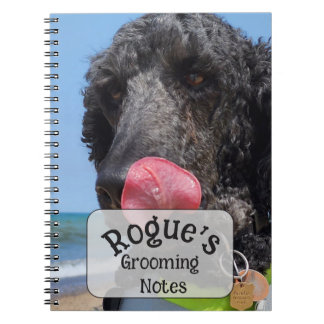 Carnet Notes de toilettage de Caniche Standard