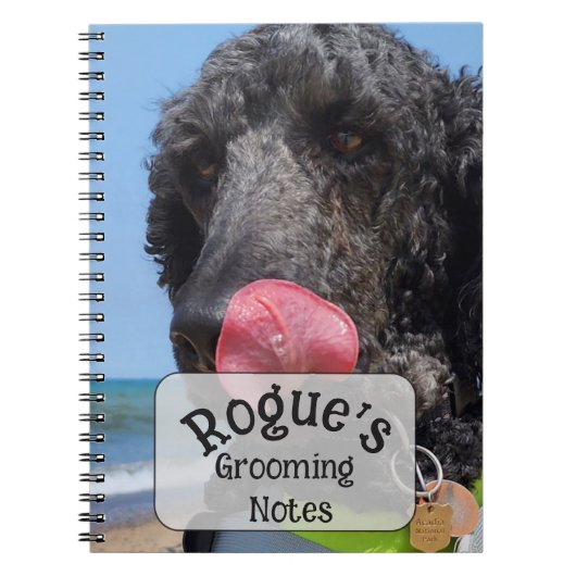 Carnet Notes de toilettage de Caniche Standard (Devant)