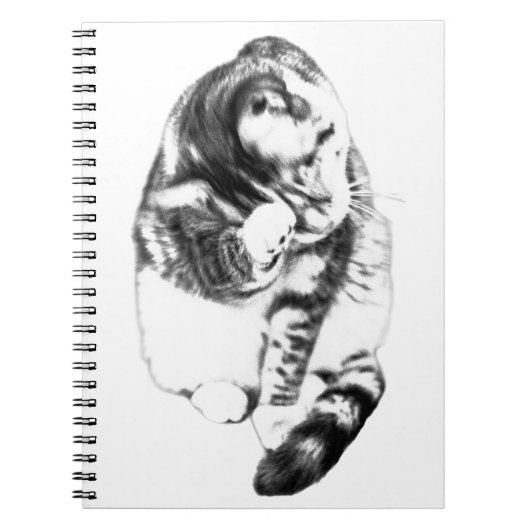 Carnet Notes douces à côté d'un chat (Devant)