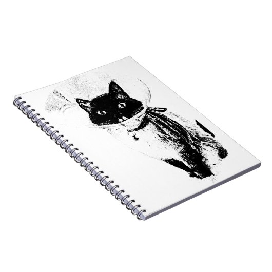 Carnet Notes du cône (Côté Droit)