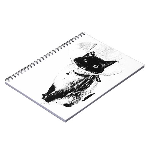 Carnet Notes du cône (Côté gauche)