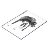 Carnet Notes du Lookout (Côté gauche)