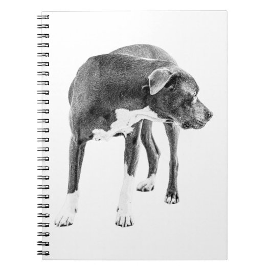 Carnet Notes du Lookout (Devant)