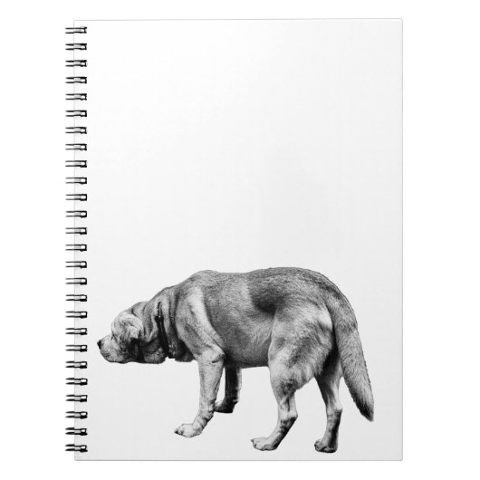 Carnet Notes d'une patrouille fidèle (Devant)