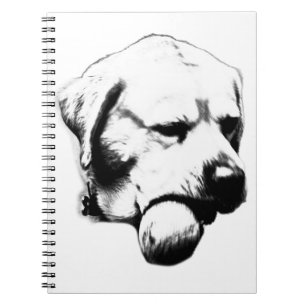 Carnet Notes entre les lancers