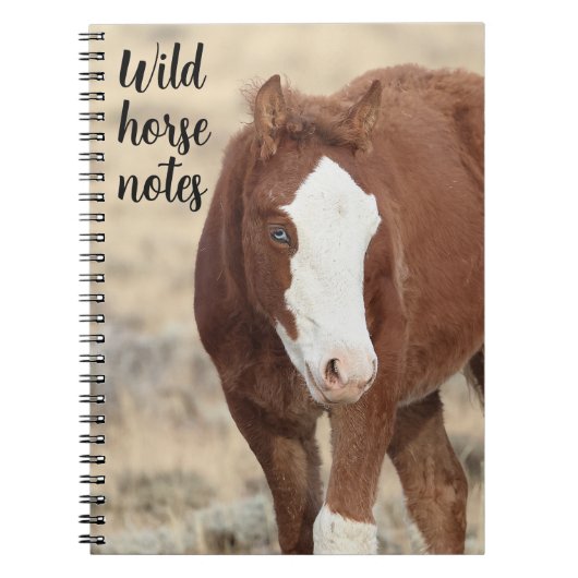 Carnet Notes pour un cheval sauvage (Devant)