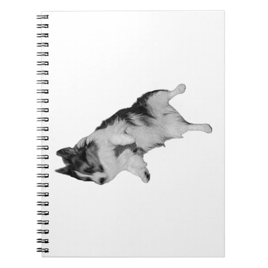 Carnet Notes silencieuses (Devant)