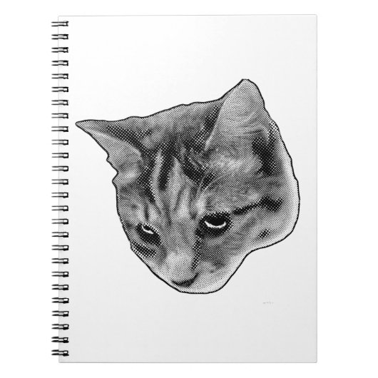 Carnet Notes sous les yeux attentifs (Devant)