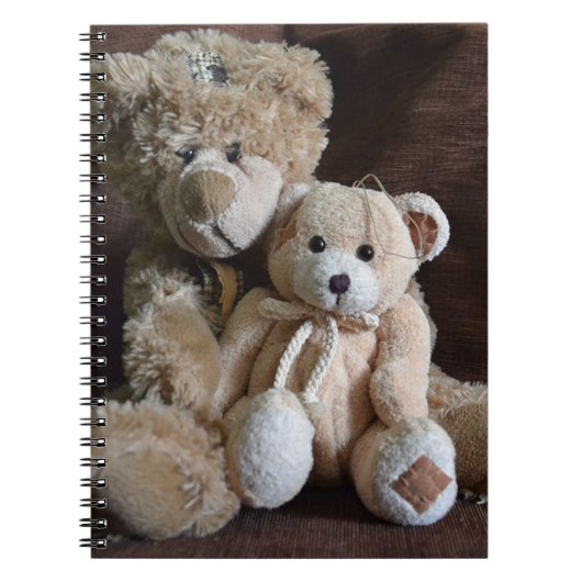 Carnet Nounours mignons (Devant)