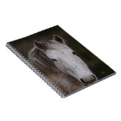CARNET NOUVELLE FORÊT PONY (Côté Droit)