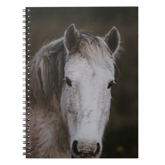 CARNET NOUVELLE FORÊT PONY (Devant)