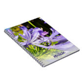 Carnet Nouvelle-Zélande Fleur pourpre (Côté Droit)