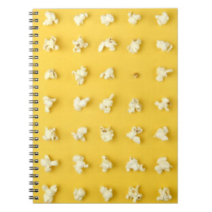 Carnet Noyaux de maïs éclaté