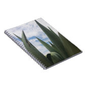 Carnet Nuages Agave (Côté Droit)