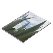 Carnet Nuages Agave (Côté gauche)