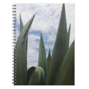 Carnet Nuages Agave