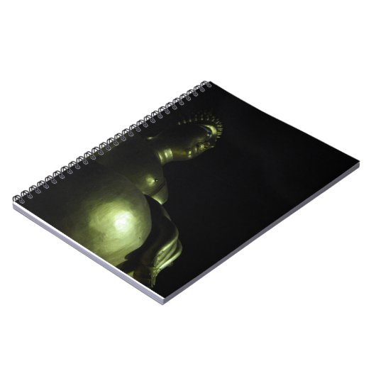 Carnet Nuit Bouddha (Côté gauche)