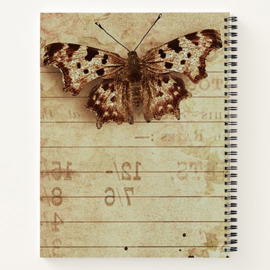 Carnet Numéros du bloc-notes sépia affaissé (Dos)