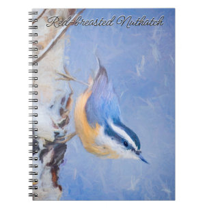 Carnet Nuthatch à poitrine rouge Peinture d'art original