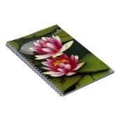 Carnet Nymphéas hybrides (Côté Droit)
