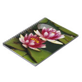 Carnet Nymphéas hybrides (Côté gauche)