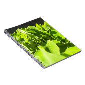 Carnet Oasis Verte - Design Plante Vert (Côté Droit)