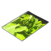 Carnet Oasis Verte - Design Plante Vert (Côté gauche)
