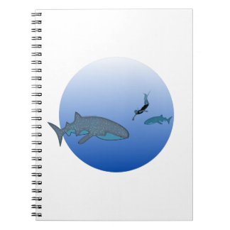 Carnet Observation de Whaleshark