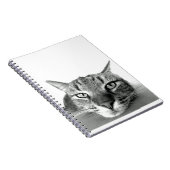 Carnet Observation des chats (Côté Droit)