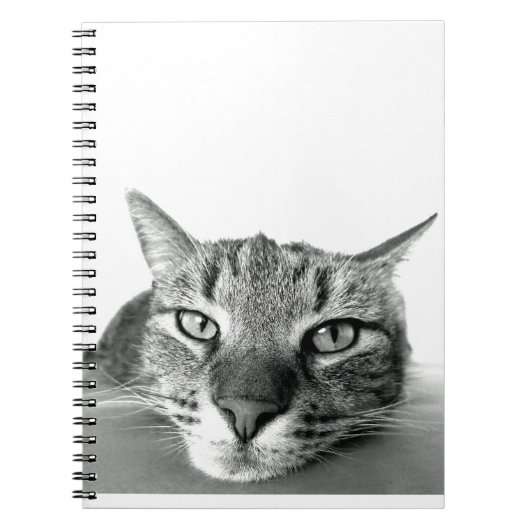 Carnet Observation des chats (Devant)