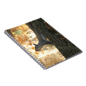 Carnet occupé d'écureuil (Côté Droit)