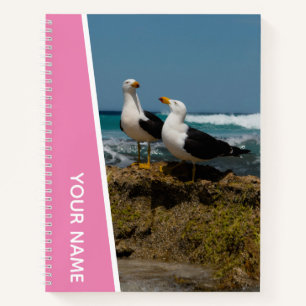 Carnet Océan Océan Océan Pacifique, Rose