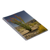 Carnet Ocotillo et senné du désert (Côté Droit)