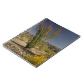 Carnet Ocotillo et senné du désert (Côté gauche)